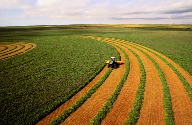 Κλιματική αλλαγή και παγκόσμια αγροτική παραγωγή – Τι αλλάζει