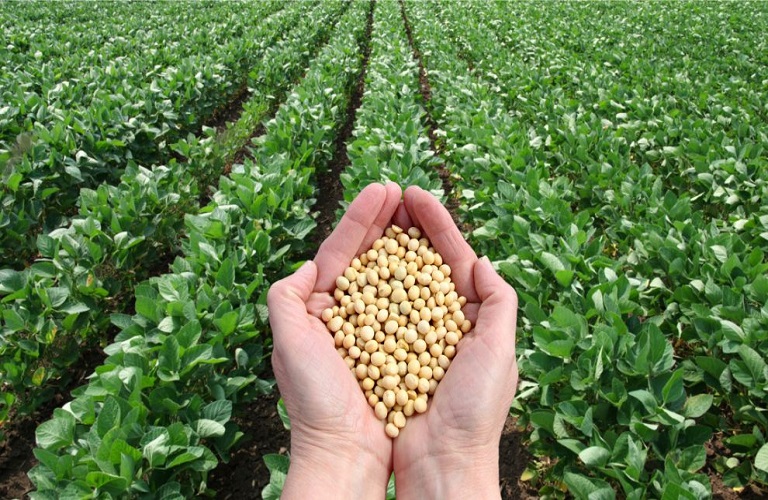 First Mediterranean green regional seed bank on Crete