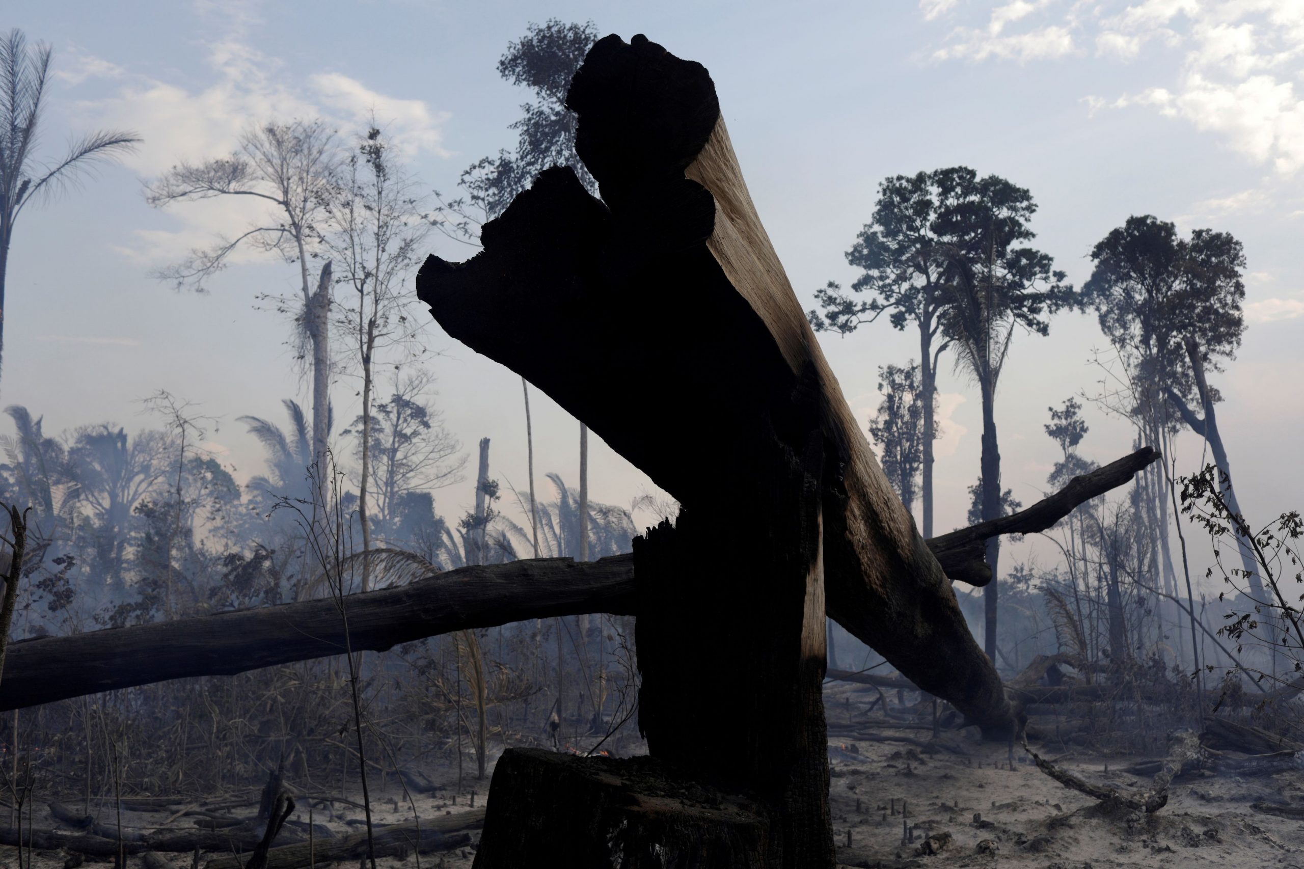 Η Αμαζονία της Βραζιλίας πλέον εκπέμπει περισσότερο άνθρακα από οξυγόνο
