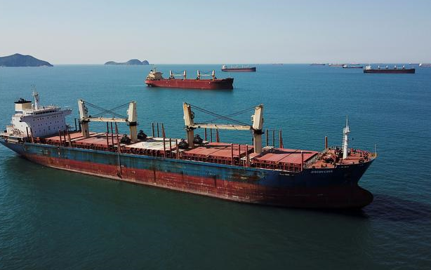 Κίνα : Ρυθμιστής στην αγορά bulkers