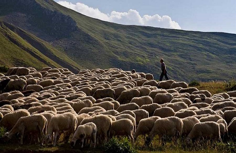 Στους λογαριασμούς των δικαιούχων η εξισωτική αποζημίωση