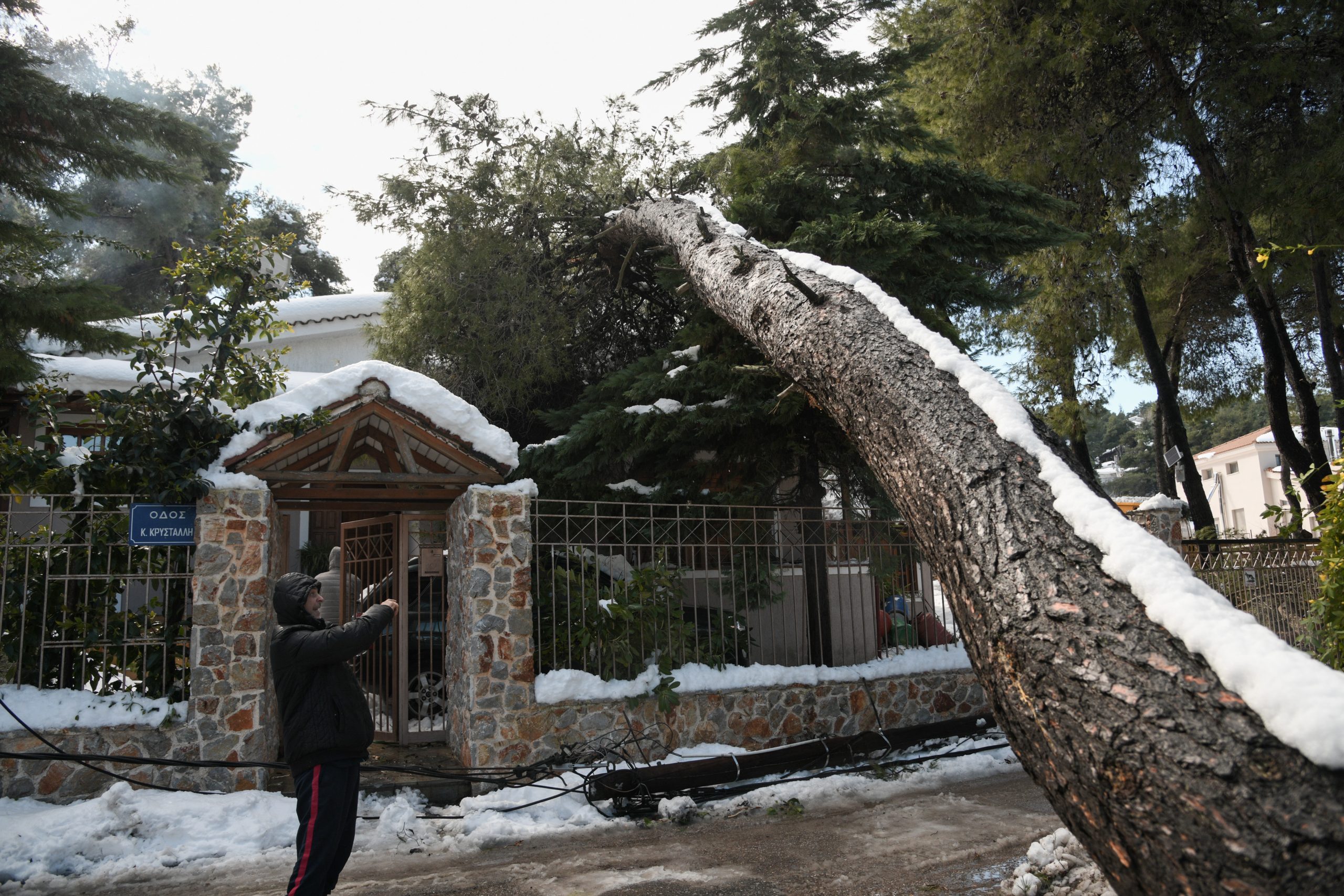 Ασφαλιστικές για «Μήδεια» : Το συνολικό ποσό απαίτησης στα 5,5 εκατ. ευρώ