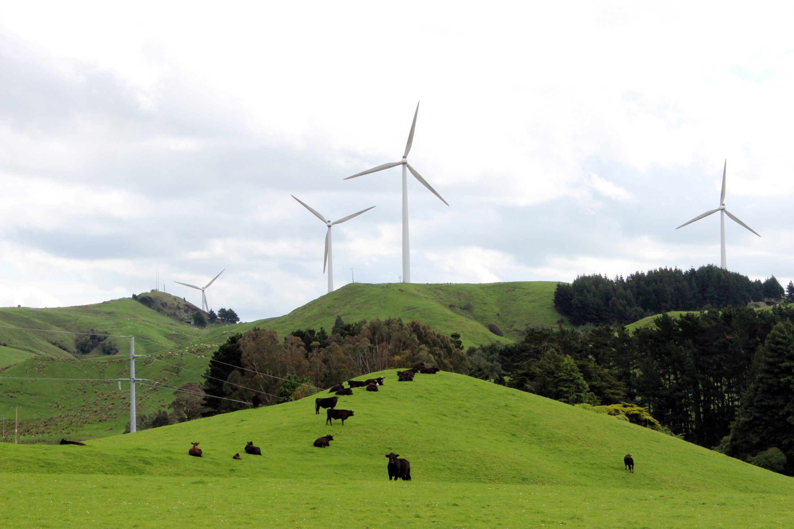 Νέα Ζηλανδία : Οι κίνδυνοι της κλιματικής αλλαγής στους σχεδιασμούς μεγάλων εταιρειών