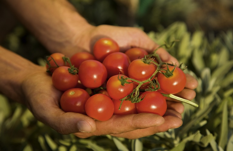 Επί τάπητος η βιολογική γεωργία στην ΕΕ