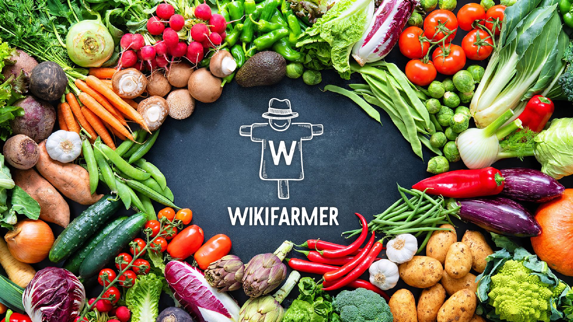 Wikifarmer : Οι top αναζητήσεις αγροτικών προϊόντων στην Ελλάδα για το 2020