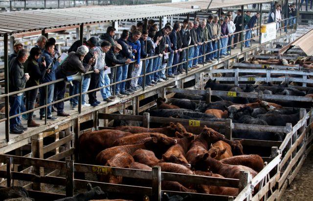 Αργεντινή: Παγώνει τις εξαγωγές βοδινού για 30 μέρες