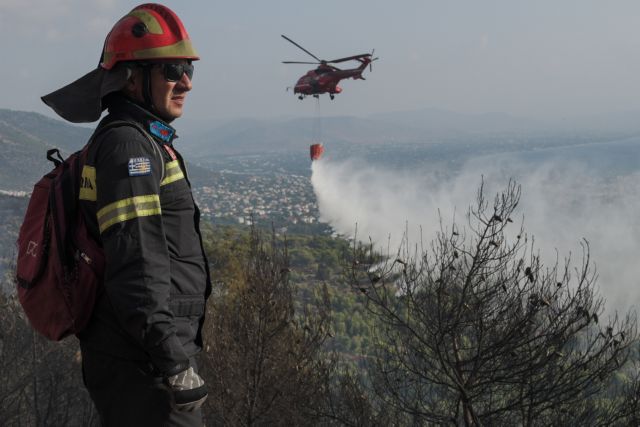 ΥΠΕΝ: Πάνω από 79 εκατομμύρια ευρώ για τα δάση