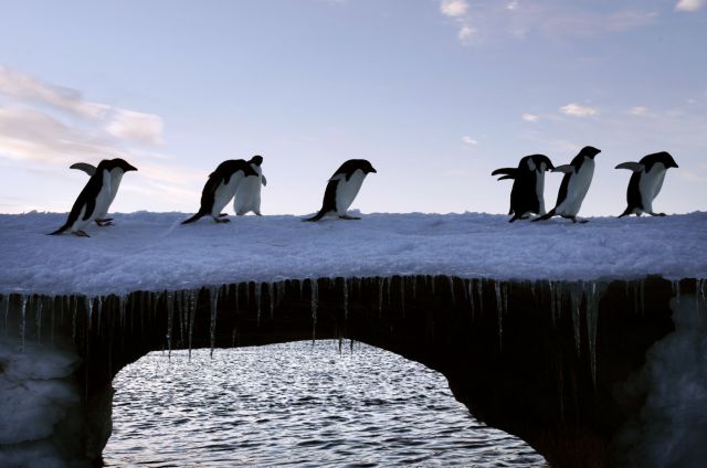 SOS για την Ανταρκτική: Η κλιματική αλλαγή προκαλεί λιώσιμο των πάγων