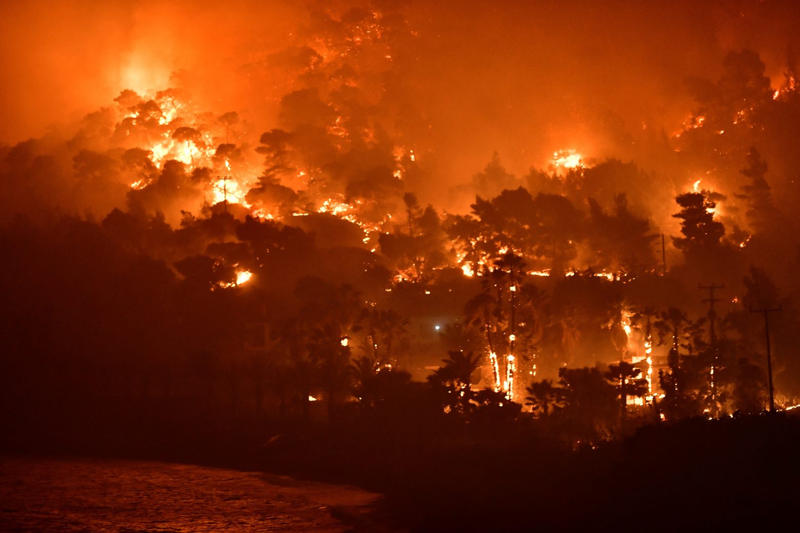 Φωτιά στον Σχίνο Κορινθίας: Εκκενώνεται το Αλεποχώρι, απειλούνται έξι οικισμοί [Video]
