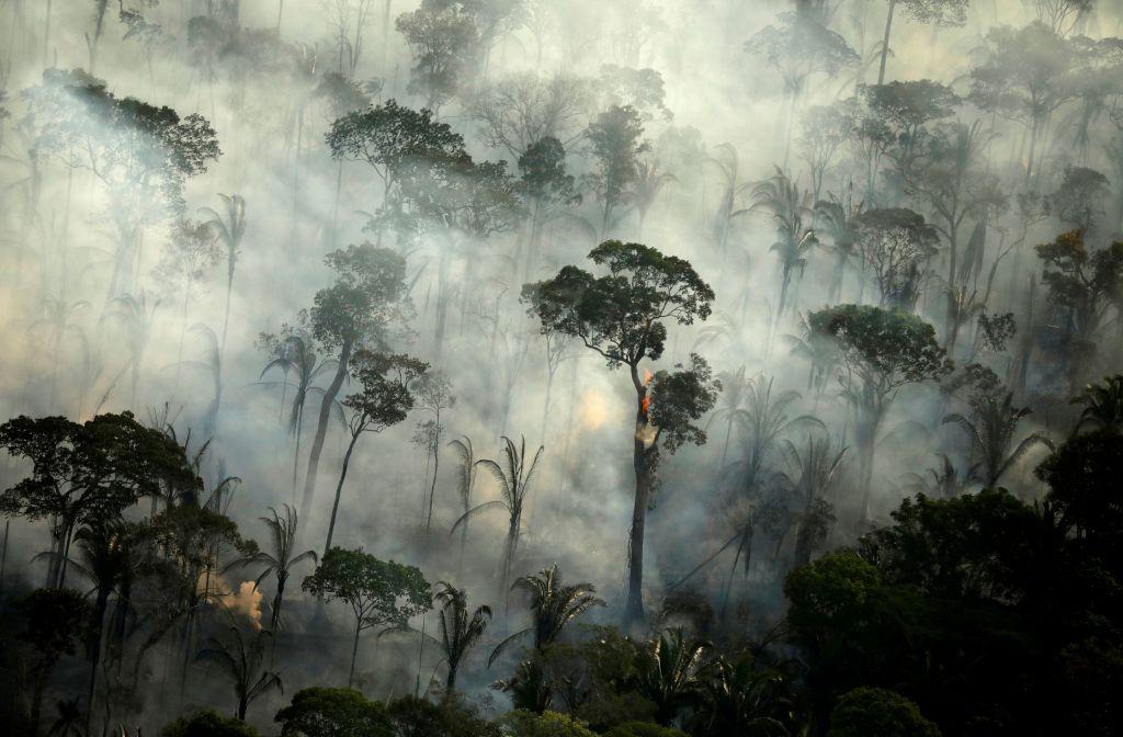 Αμαζόνιος: Οι περισσότερες πυρκαγιές από το 2010 τον Αύγουστο