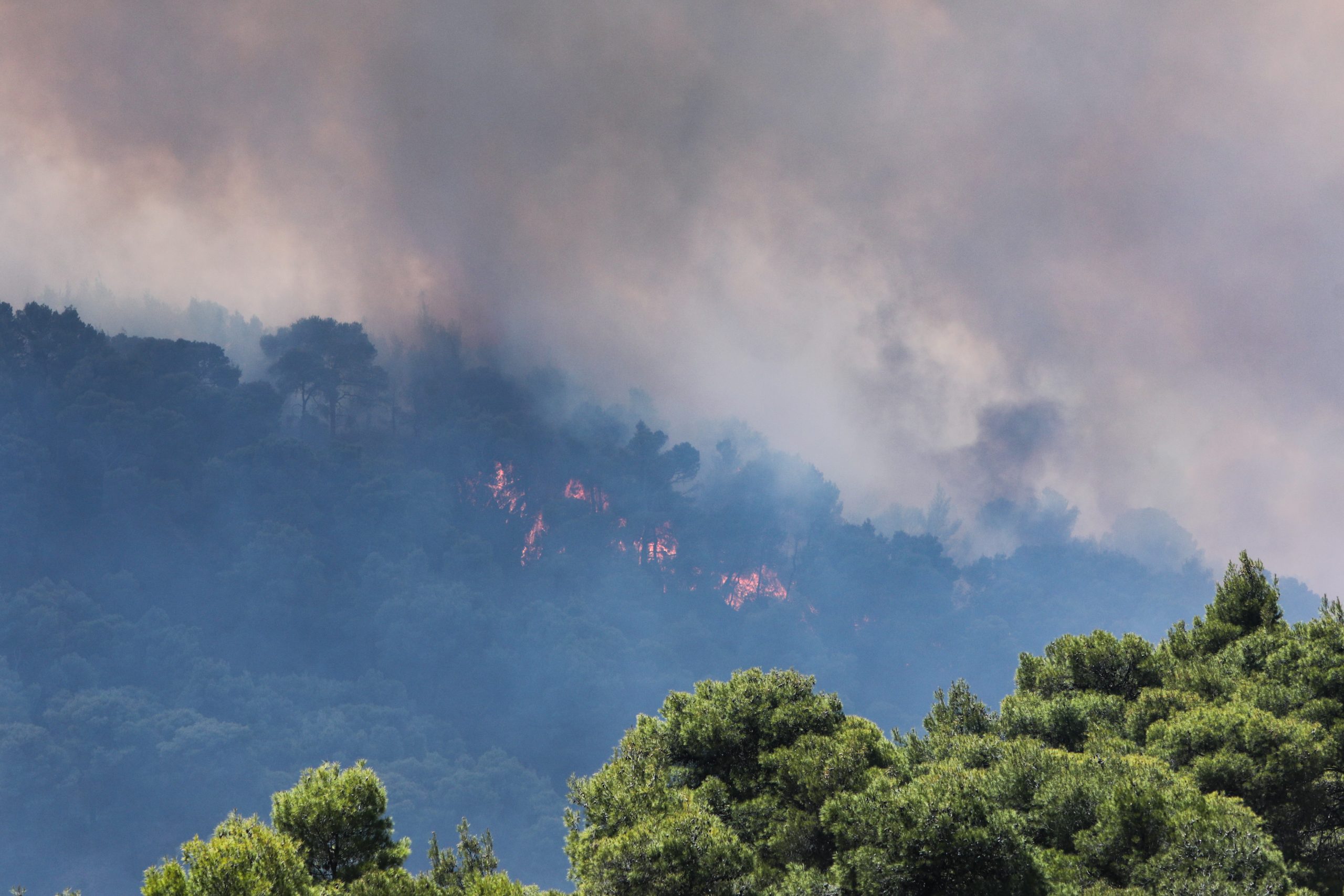 Φωτιά στα Γεράνεια Όρη: Δραματικός απολογισμός με 71.000 καμμένα στρέμματα