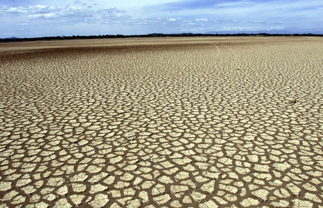 Ξηρασία: Ζημιές δισεκατομμύριων στην Ε.Ε.- Πλήγμα για τη γεωργία