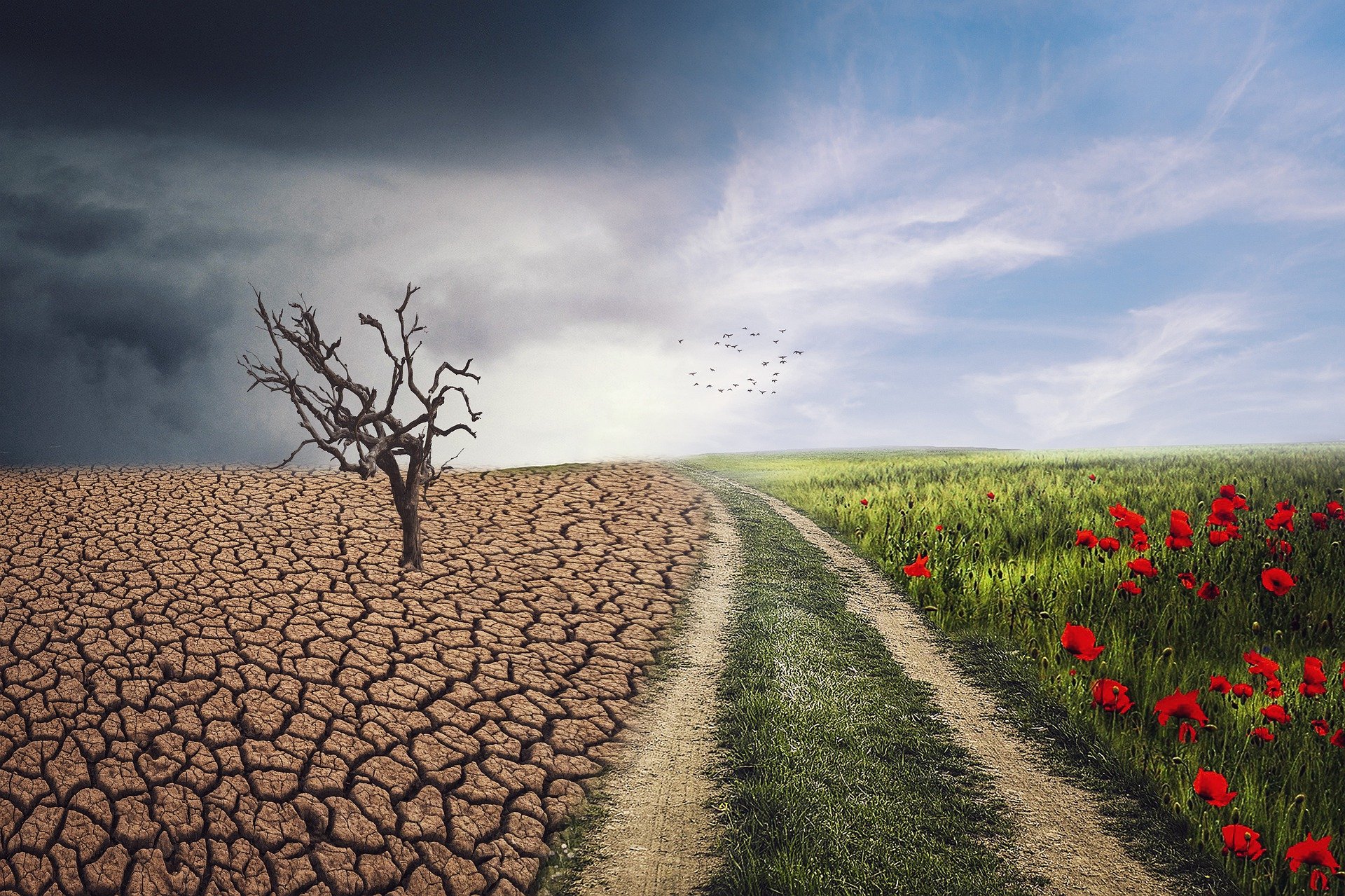 Κλιματική αλλαγή – Καμπανάκι για επάρκεια σε τρόφιμα και ενέργεια – Μεγάλη απειλή η ξηρασία για την Ευρώπη
