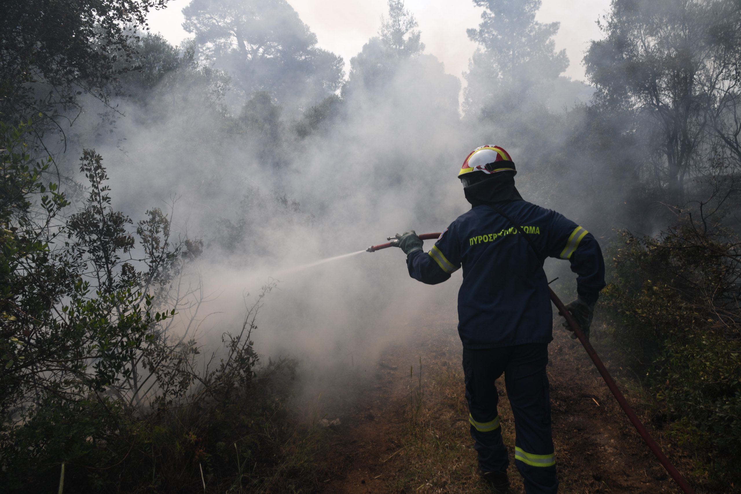 Πυροσβεστική – Εκδηλώθηκαν 34 δασικές πυρκαγιές το τελευταίο 24ωρο