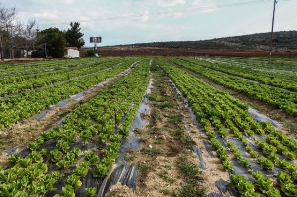 Υπουργικό: Οι στόχοι της νέας ΚΑΠ – 19,3 δισ. ευρώ στην Ελλάδα