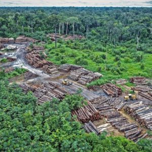 Βραζιλία: Με ποτάσα απο τον Αμαζόνιο ενισχύει την αγροτική παραγωγή