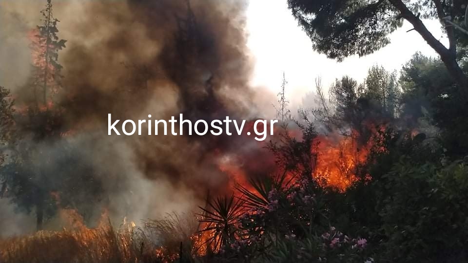 Ίσθμια Κορινθίας: Η φωτιά πλησιάζει σπίτια, εκκενώθηκε ο οικισμός
