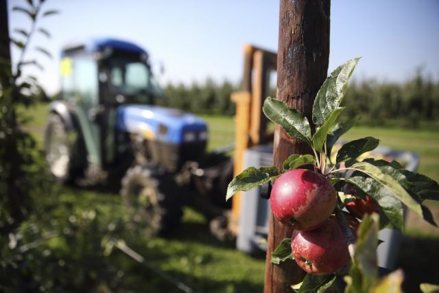 ΕΕ: Τέλος η απαγόρευση εισαγωγής αγροτικών προϊόντων από την Ουκρανία