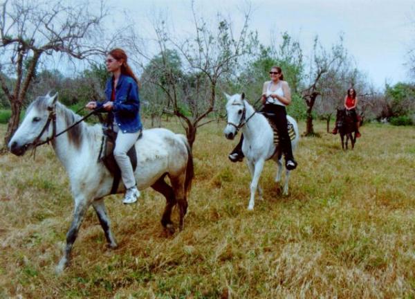 ΚΕΕ: Ζητά να σχεδαστούν νέες δράσεις του ΕΣΠΑ με έμφαση στον εναλλακτικό τουρισμό