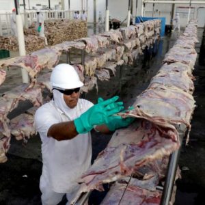Ευρώπη: Η σιωπηρή συρρίκωσης της ευρωπαϊκής παραγωγής βόειου κρέατος