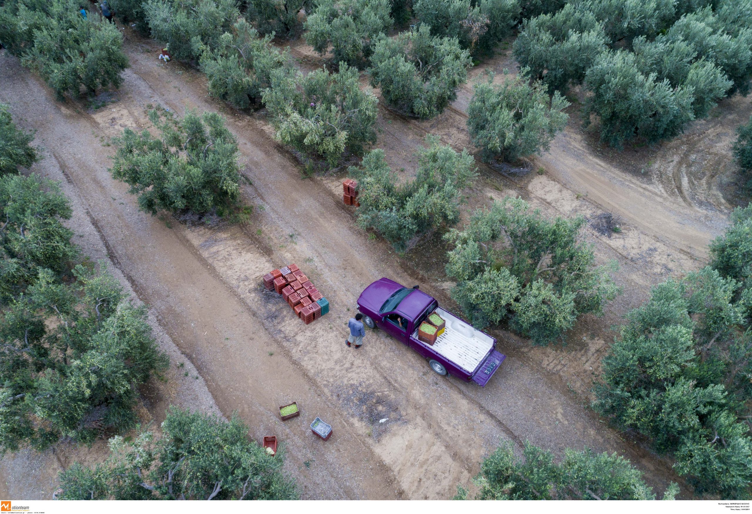 Λιβανός: Στον πρωτογενή τομέα δυο δισ. ευρώ του Ταμείου Ανάκαμψης