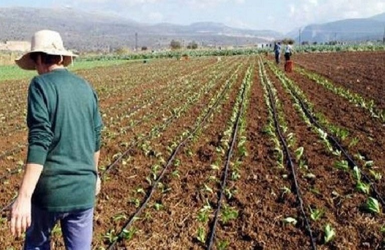 e-ΕΦΚΑ: Βεβαιώσεις εισφορών για αγρότες και εργάτες γης