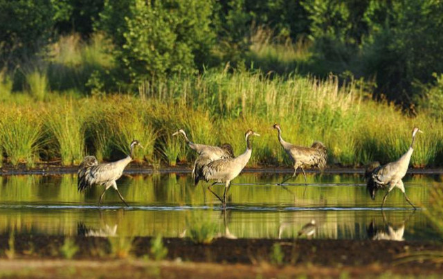 Natura 2000: Τι ισχύει για τις Ειδικές Περιβαλλοντικές Μελέτες 3 περιοχών