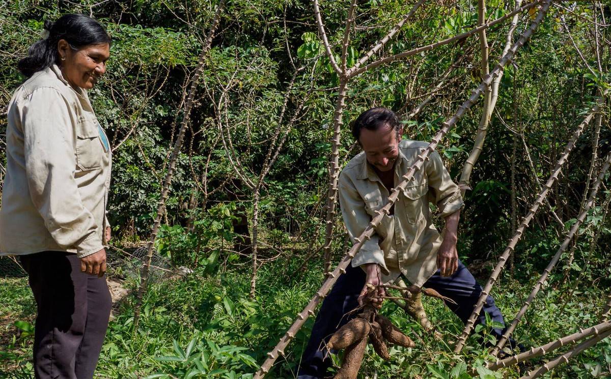 LVMH και UNESCO σώζουν τον Αμαζόνιο