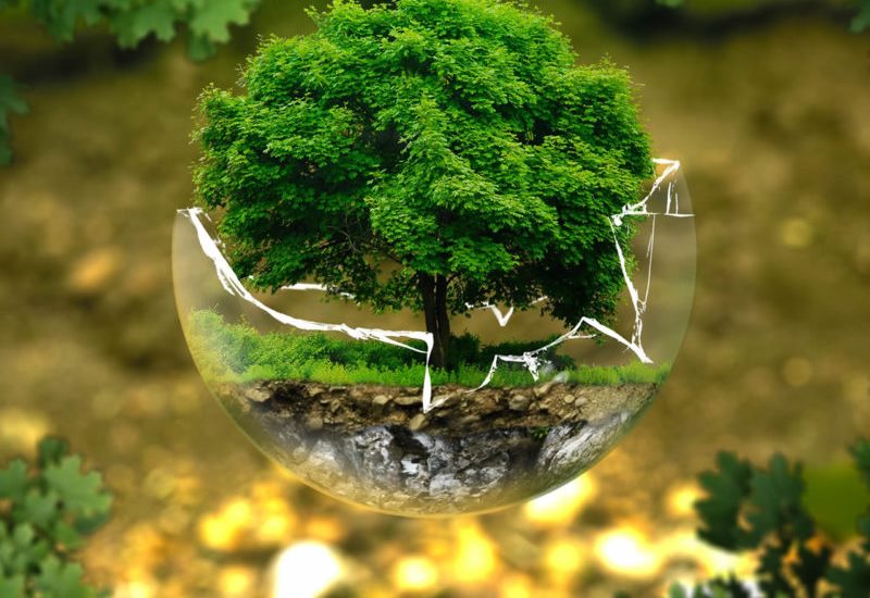 Παγκόσμια Ημέρα Περιβάλλοντος: Η φύση μάς «δωρίζει» 125-140 τρισ. δολ. ετησίως