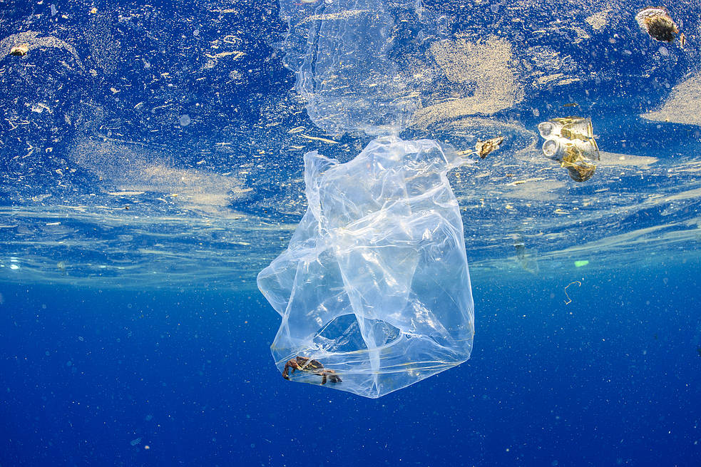 Παγκόσμια Ημέρα Περιβάλλοντος: Χιλιάδες πλαστικά κατακλύζουν το περιβάλλον – Τι δείχνει έρευνα της WWF Ελλάς