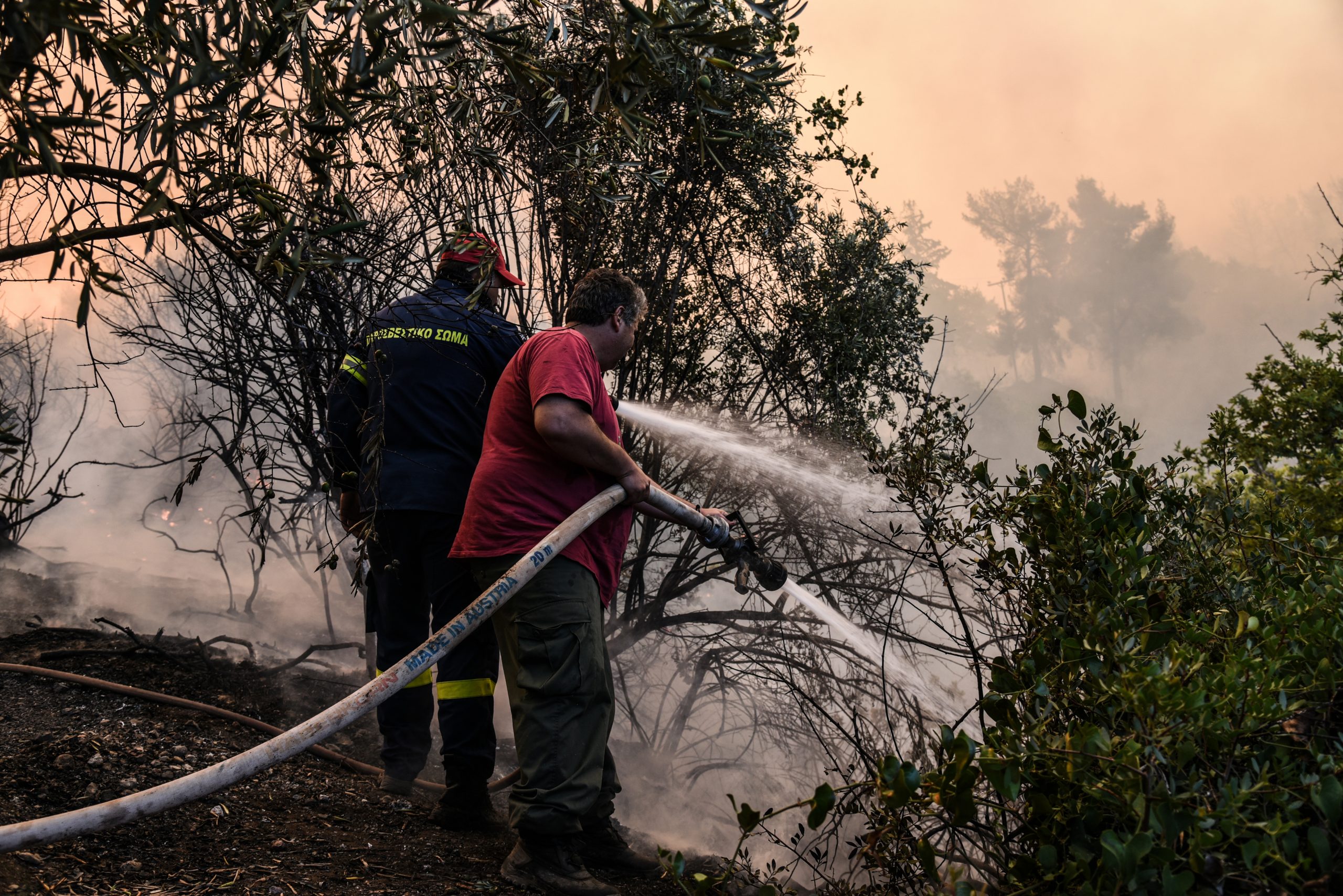 Πολύ υψηλός κίνδυνος πυρκαγιάς και αύριο σε Εύβοια, Αττική, Ηλεία