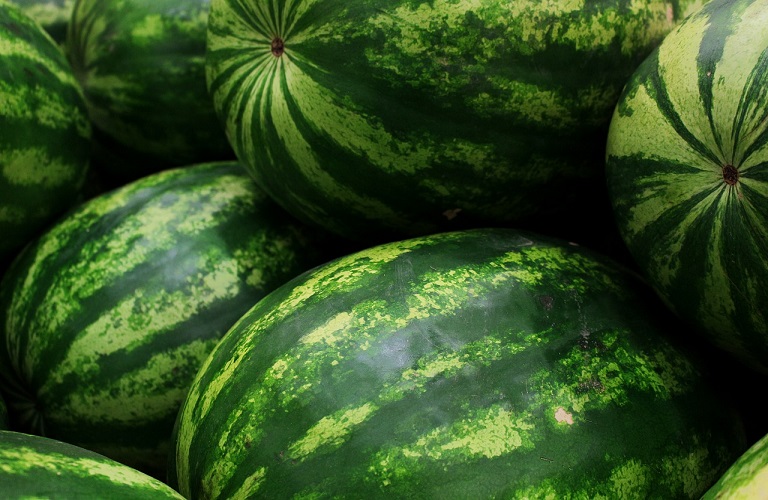 Exports: Watermelons continue to rise