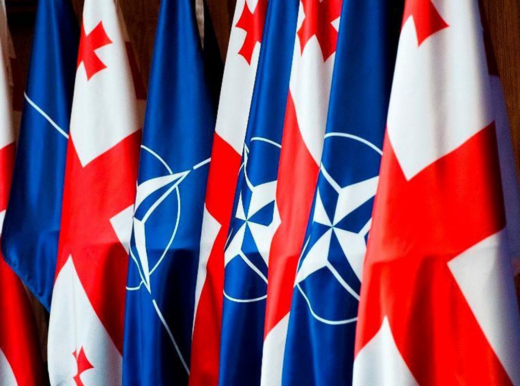 Γεωργία: Η ένταξη στο ΝΑΤΟ εξαρτάται από την πολιτική απόφαση της συμμαχίας