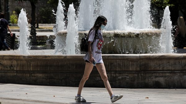 Οι πρώιμοι καύσωνες εμφανίζονται ολοένα και συχνότερα…