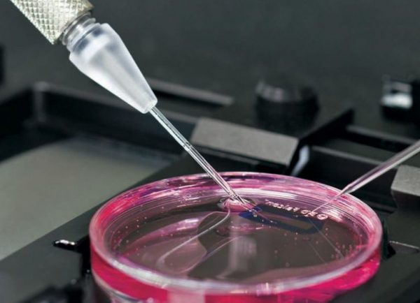 Βρετανία: Μελέτη για το μονοκλωνικό αντίσωμα των GSK-Vir επιβεβαιώνει τη μείωση κινδύνου νοσηλείας