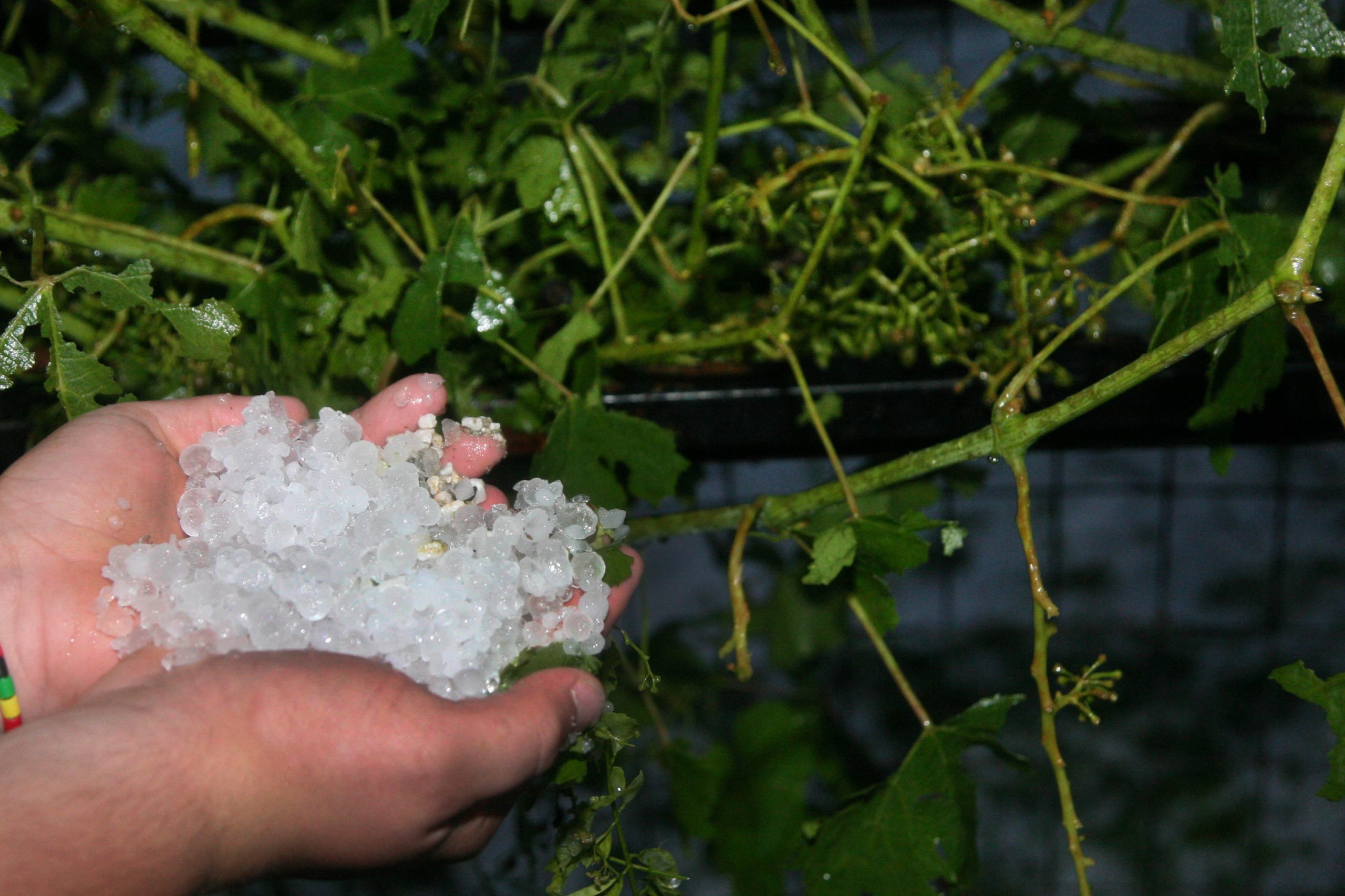 National Observatory of Athens: What causes hail this time of year