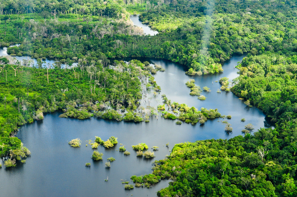 Αμαζόνιος: 10.000 είδη απειλούνται με εξαφάνιση, προειδοποιεί μεγάλη μελέτη