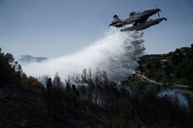 Εύβοια: Νέα φωτιά στο Βασιλικό