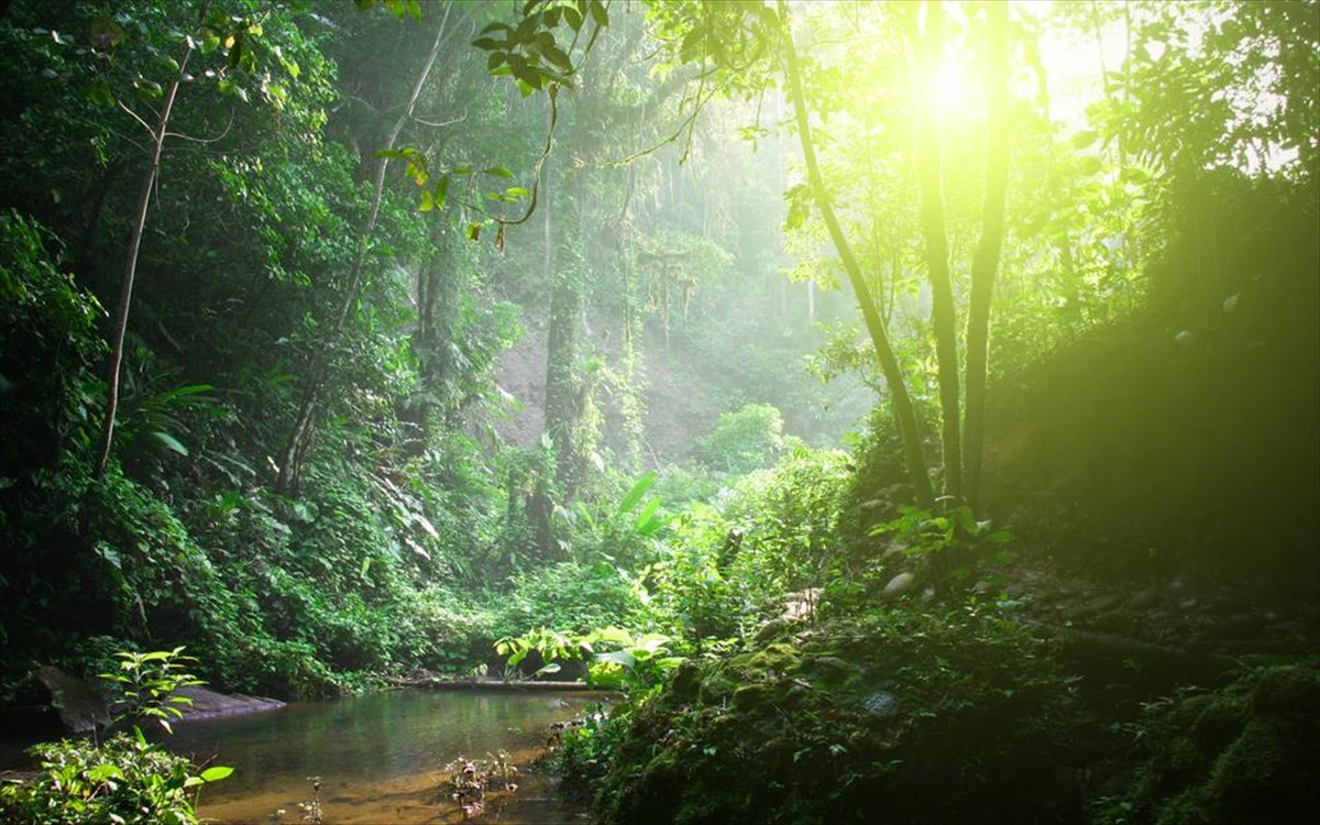 Αμαζόνιος: Πού κολλάει το «Amazonia bond»