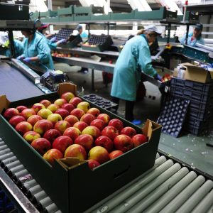 Greece’s Unemployment Falls to 8.2% in November 2025