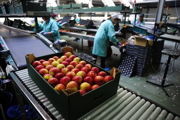 Greece’s Unemployment Falls to 8.2% in November 2025