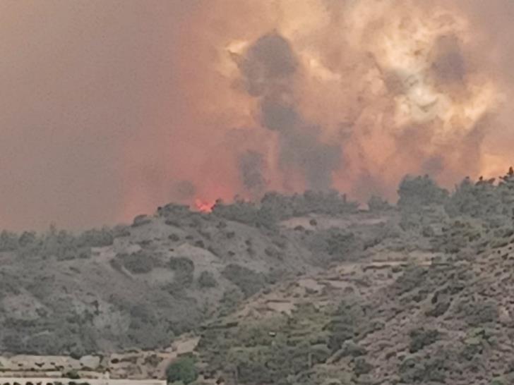 Αναστασιάδης: Χωρίς προηγούμενο -πλην της εισβολής- οι καταστροφικές πυρκαγιές
