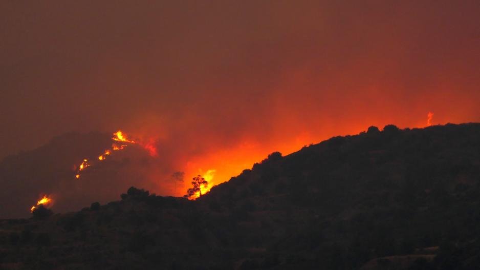 Φωτιά στην Κύπρο: Ολονύχτια μάχη με τις φλόγες – Τεράστια καταστροφή