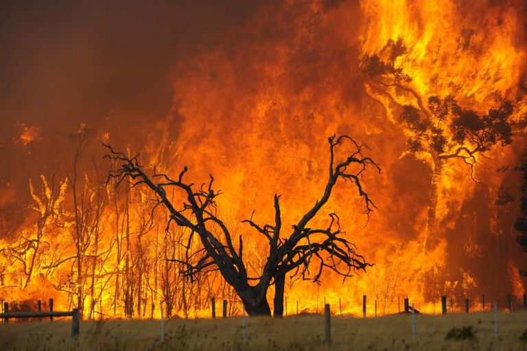 Πυρκαγιές: Αυξημένες 50% οι καμένες εκτάσεις φέτος