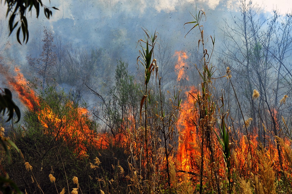 Αχαΐα – Νέα πυρκαγιά στη Ζήρια – Εκκενώνεται οικισμός