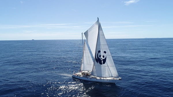 WWF: Στα ελληνικά νερά καταφθάνει με το Blue Panda