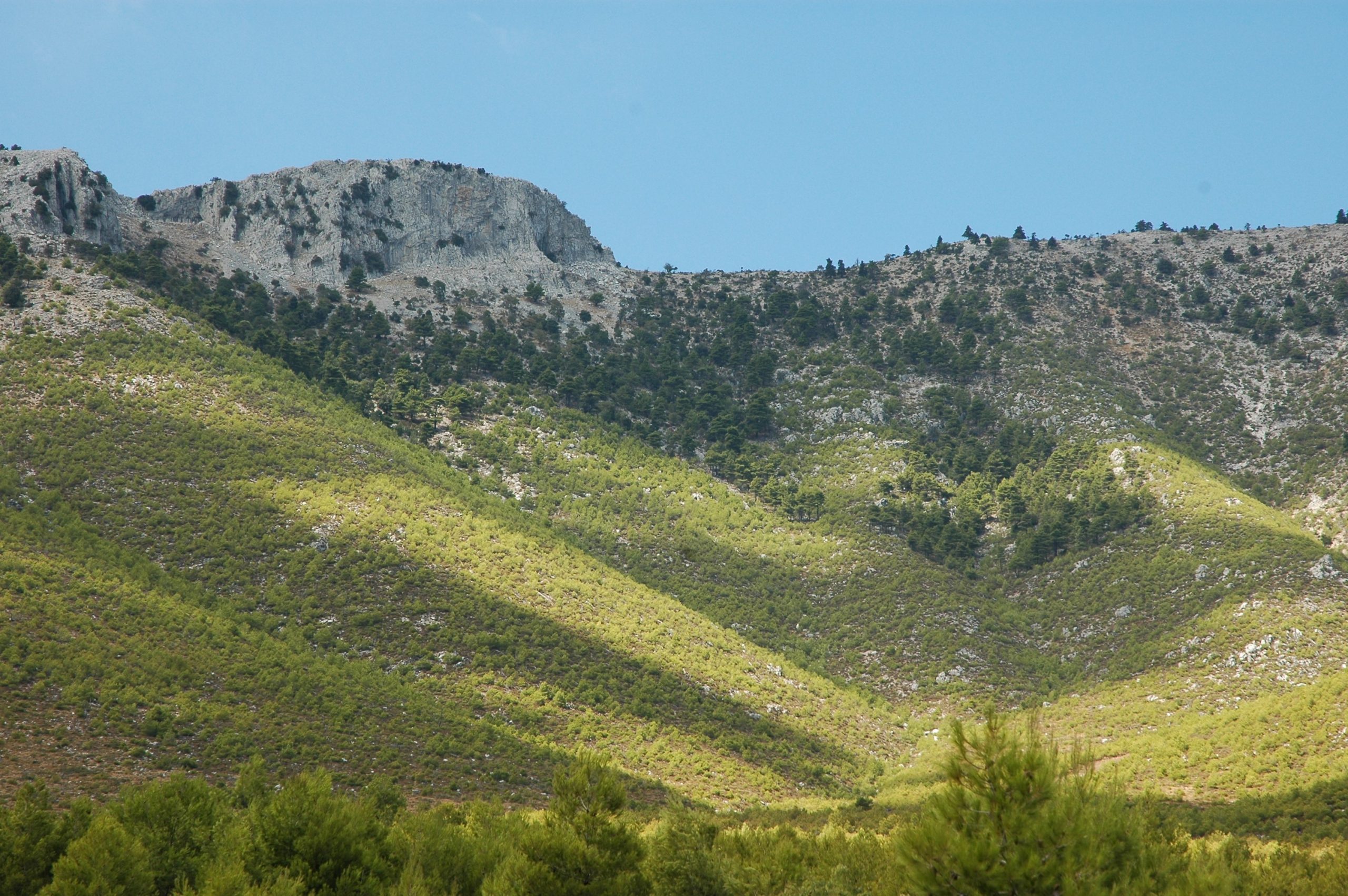 Η Εύβοια της αγροδιατροφής