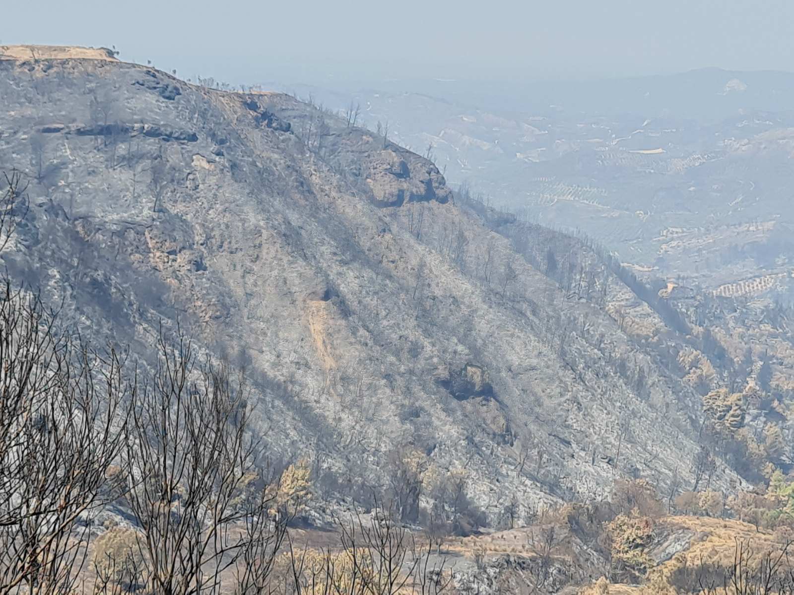 Λέκκας – «Σχεδόν μη αναστρέψιμες οι περιβαλλοντικές επιπτώσεις των πυρκαγιών»