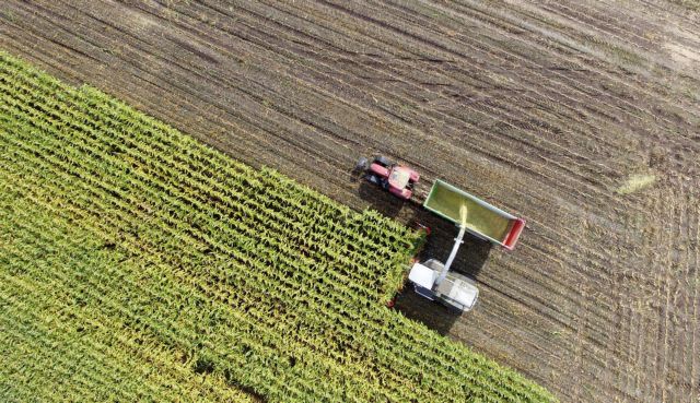 ΗΠΑ: Στάση αναμονής για τα επίπεδα αγροτικής παραγωγής – Οι αποδόσεις θα επηρεάσουν τις διεθνείς τιμές