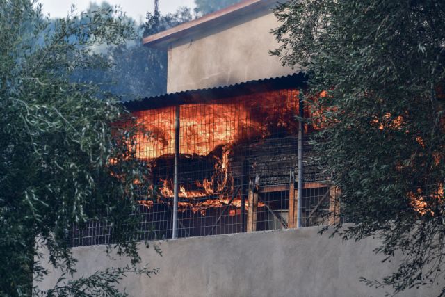 Φωτιές – «Σαρώνει» η πύρινη λαίπαπα τη Γορτυνία  – Για 9η μέρα καίγεται η Εύβοια